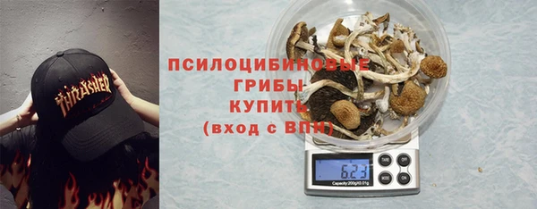 стафф Арсеньев