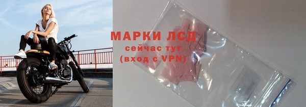 стаф Аркадак
