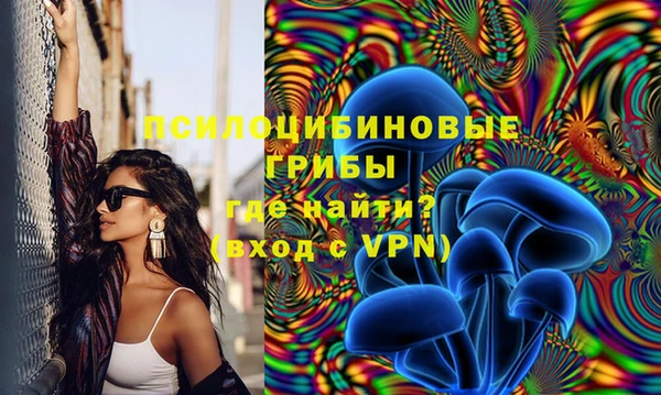 стаф Аркадак