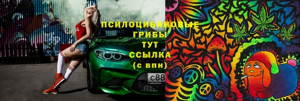 стафф Арсеньев