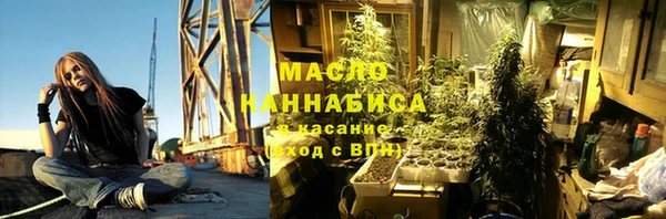 стаф Аркадак