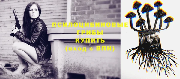 стафф Арсеньев