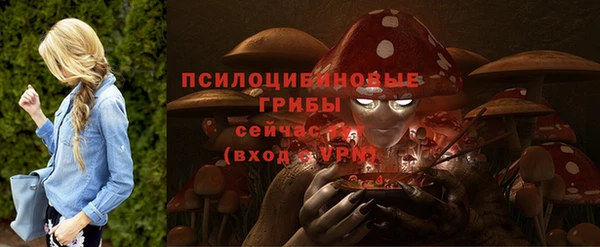 стафф Арсеньев