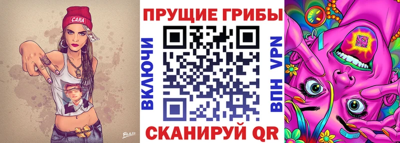 Псилоцибиновые грибы прущие грибы  купить наркотики цена  Ряжск 